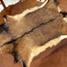 see more listings in the Goat Pelt section