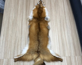 Red Fox Fur Pelt ,You've never seen one this big before, Soft Fox Fur , Modern Tanning  Fox fur pelt Natural Color Large Size Real Fox Pelt