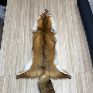 Red Fox Fur Pelt ,You&#39;ve never seen one this big before, Soft Fox Fur , Modern Tanning  Fox fur pelt Natural Color Large Size Real Fox Pelt