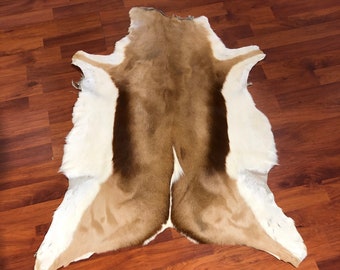 Real Springbok Skin  Genuine Deer Skin High quality Tanned  Shiny Feather Springbok Hide  Antelope hide  Excotic Skin Fireplace Rug Kilim