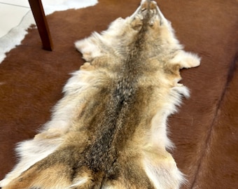 Real Coyote Fur Pelt Genuine Natural Coyote Fur Pelt Coyote Face Coyote Hide Skin Very Soft Coyote Fur For Coyote Hat Coyote Shawl Fur Coat