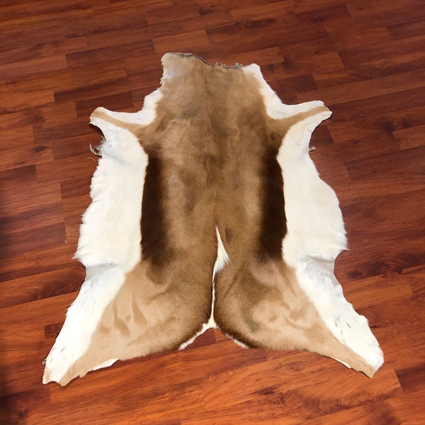 Real Springbok Skin  Genuine Deer Skin High quality Tanned  Shiny Feather Springbok Hide  Antelope hide  Excotic Skin Fireplace Rug Kilim