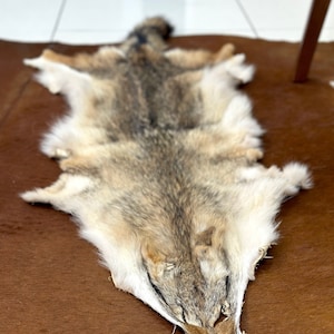 Könnte beinhalten: Ein Coyote-Fellteppich in hellbrauner und grauer Farbe. Das Fell ist weich und flauschig, und der Kopf des Coyotes ist mit Nase und Augen sichtbar.