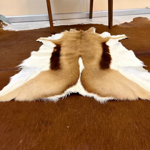 Real deer skin pelt Natural hide rug Luxury deer hide Tanned deer skin Deer leather fur Natural deer pelt Reindeer skin African deer hide