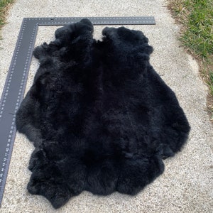 黒ウサギの毛皮 非常に柔らかい毛皮と大きなサイズのウサギの毛皮 プロフェッショナルな日焼けした毛皮 黒毛皮 黒皮の毛皮 高級ブラックレックスウサギの毛皮