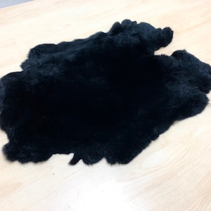 Pelliccia di coniglio rex nero, vera pelliccia di coniglio, coniglio nero, vera pelliccia di coniglio nero, pelle di coniglio, artigianato di pelliccia di coniglio, artigianato di pelliccia di coniglio