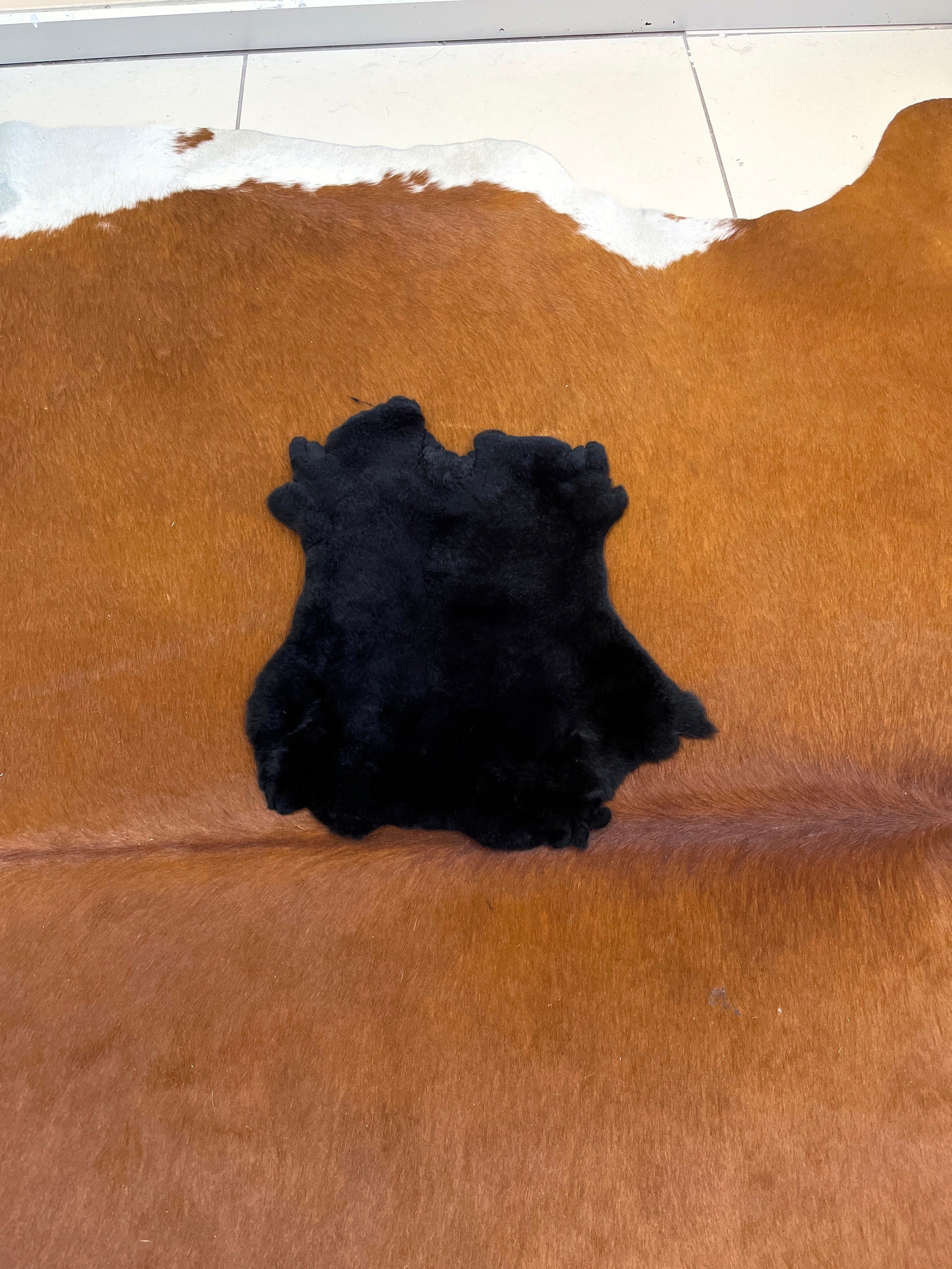 Black Rabbit Pelt Rabbit Pelt Soft Luxury REX Pelt Real Etsy Canada