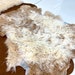 see more listings in the Curly Sheepskin  section