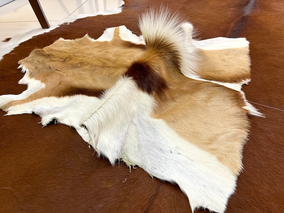 Real Springbok Pelt Rug, Antelope Hide, Genuine Antelope Hide, Deer