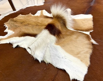 Real Springbok Pelt Rug, Antelope Hide, Genuine Antelope Hide, Deer Hide, Antelope Skin ,Deer Pelt Rug,Real Gazelle Skin, Real Gazelle Skin