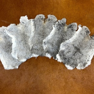 Pelliccia di coniglio grigio Pelliccia di coniglio naturale Pelliccia di coniglio vera Pelle di coniglio morbida Pelliccia di coniglio grigia bianca Pelliccia di coniglio conciata Pelliccia di coniglio grigio chiaro