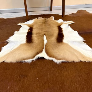 May include: A brown, white, and tan animal hide rug with a long, soft fur. The rug is laid out flat on a brown surface.