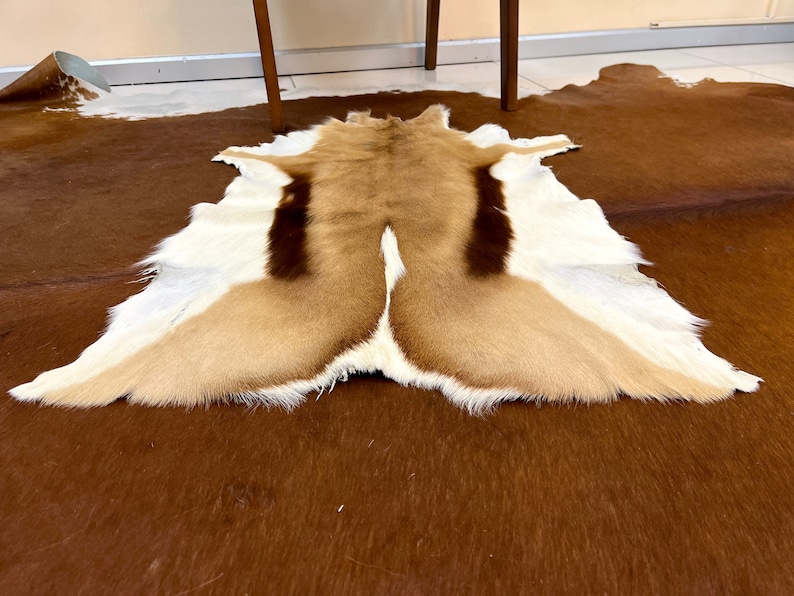 May include: A brown, white, and tan animal hide rug with a long, soft fur. The rug is laid out flat on a brown surface.