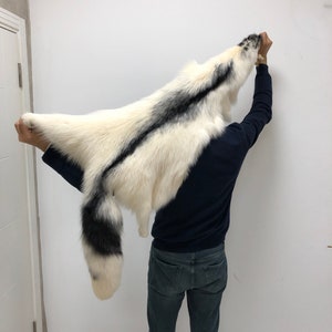 Natural White Arctic Marble Fox Pelt , You have never seen such a large fox fur before , Genuine Arctic Marble Fox Pelt , White Fox Pelt