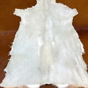 May include: A white cowhide rug with a light brown border. The rug is laid out on a brown surface.