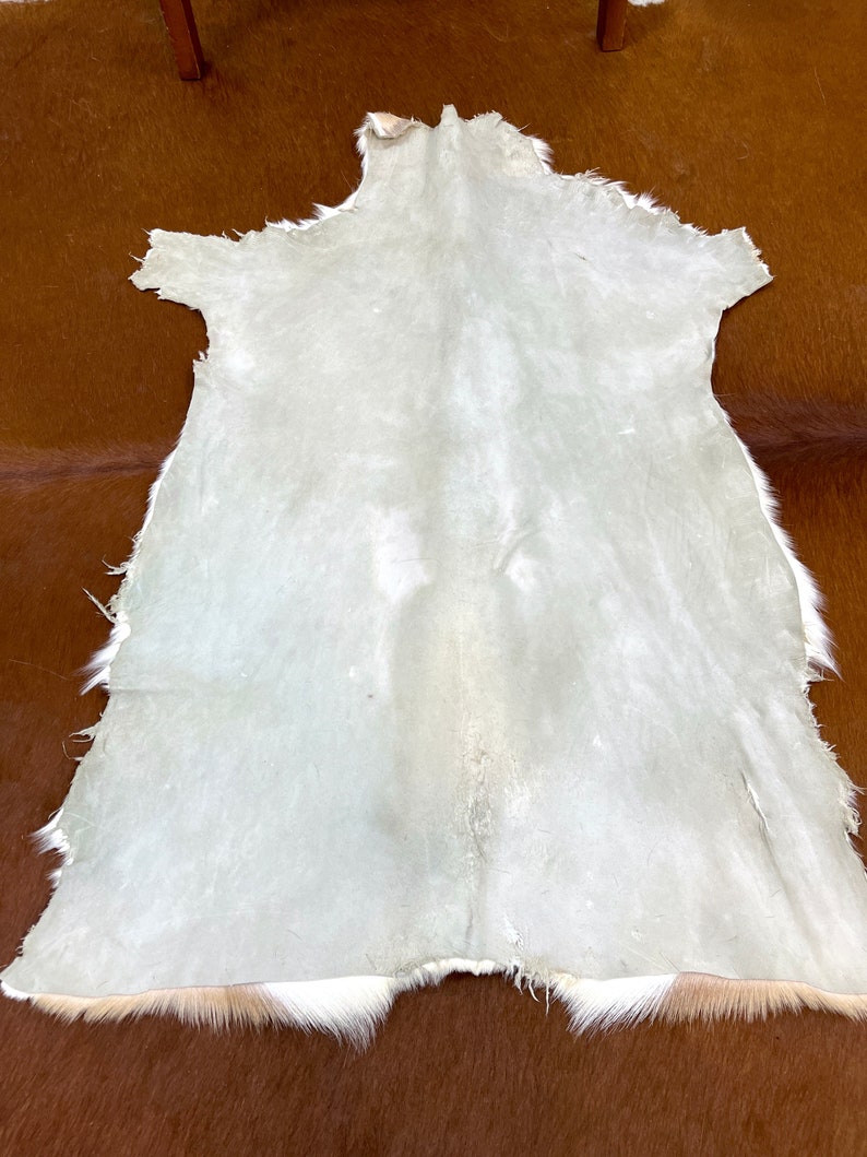 May include: A white cowhide rug with a light brown border. The rug is laid out on a brown surface.