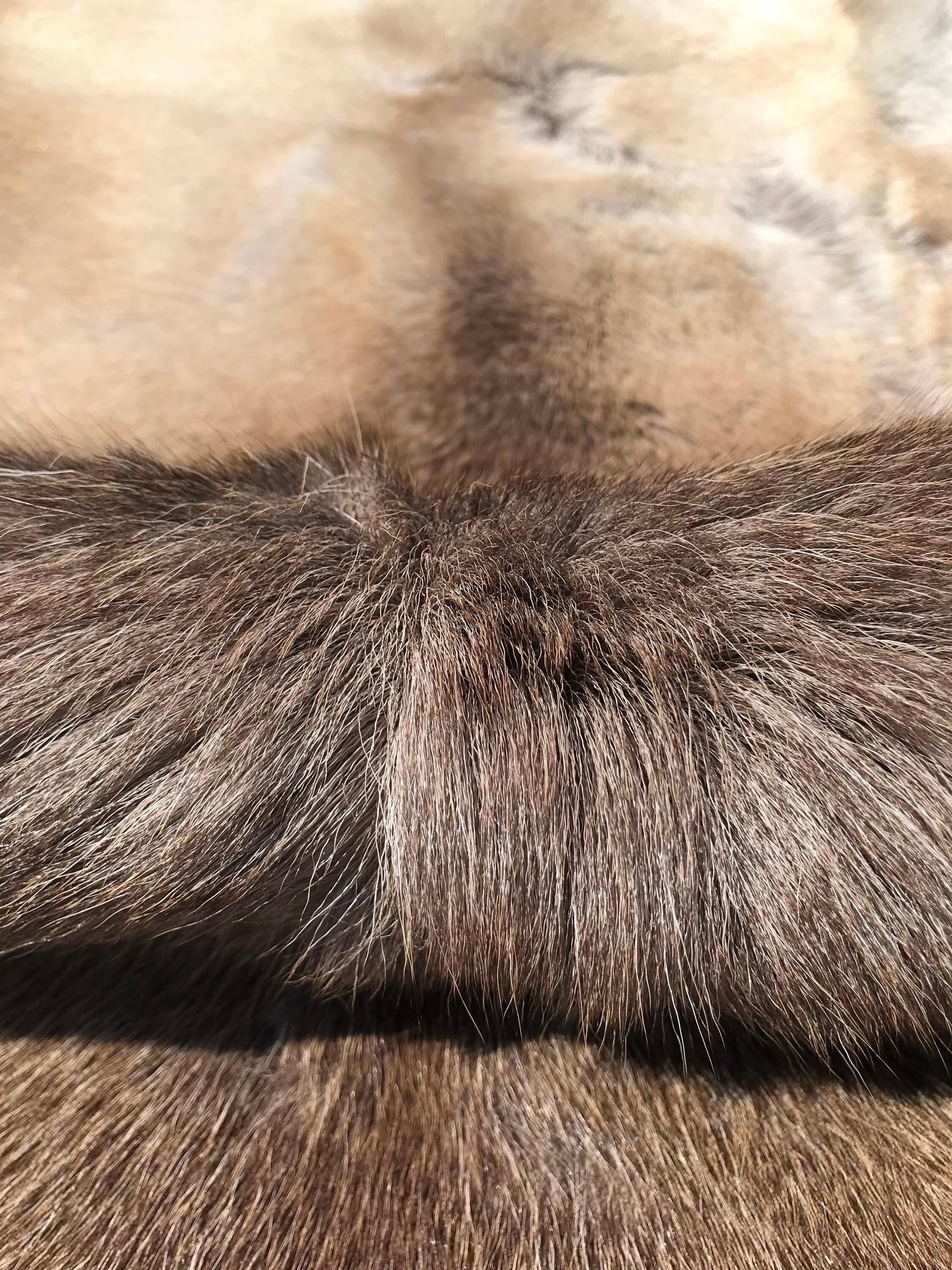 Norwegian Reindeer Fur Throw XXL Natural Reindeer Real Hide | Etsy