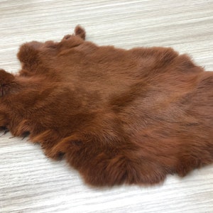 Pelliccia di coniglio tinta color caramello Pelliccia di coniglio MORBIDA Pelliccia vera di grandi dimensioni Progetto artigianale fai da te Per cappotto Cappello Cappuccio Bordo Pelliccia di coniglio Decorazione Pelliccia di coniglio Altare