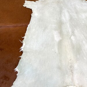 May include: A light gray animal hide rug with a white and light brown fur trim. The rug is laid out flat on a brown surface.