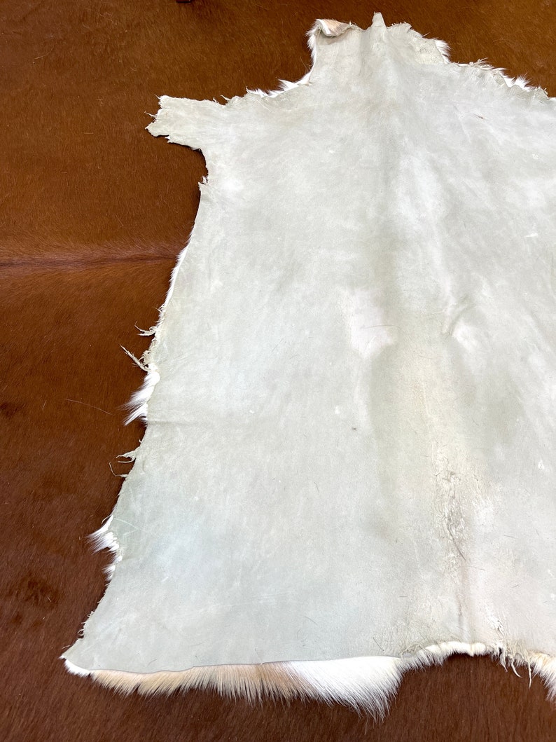May include: A light gray animal hide rug with a white and light brown fur trim. The rug is laid out flat on a brown surface.