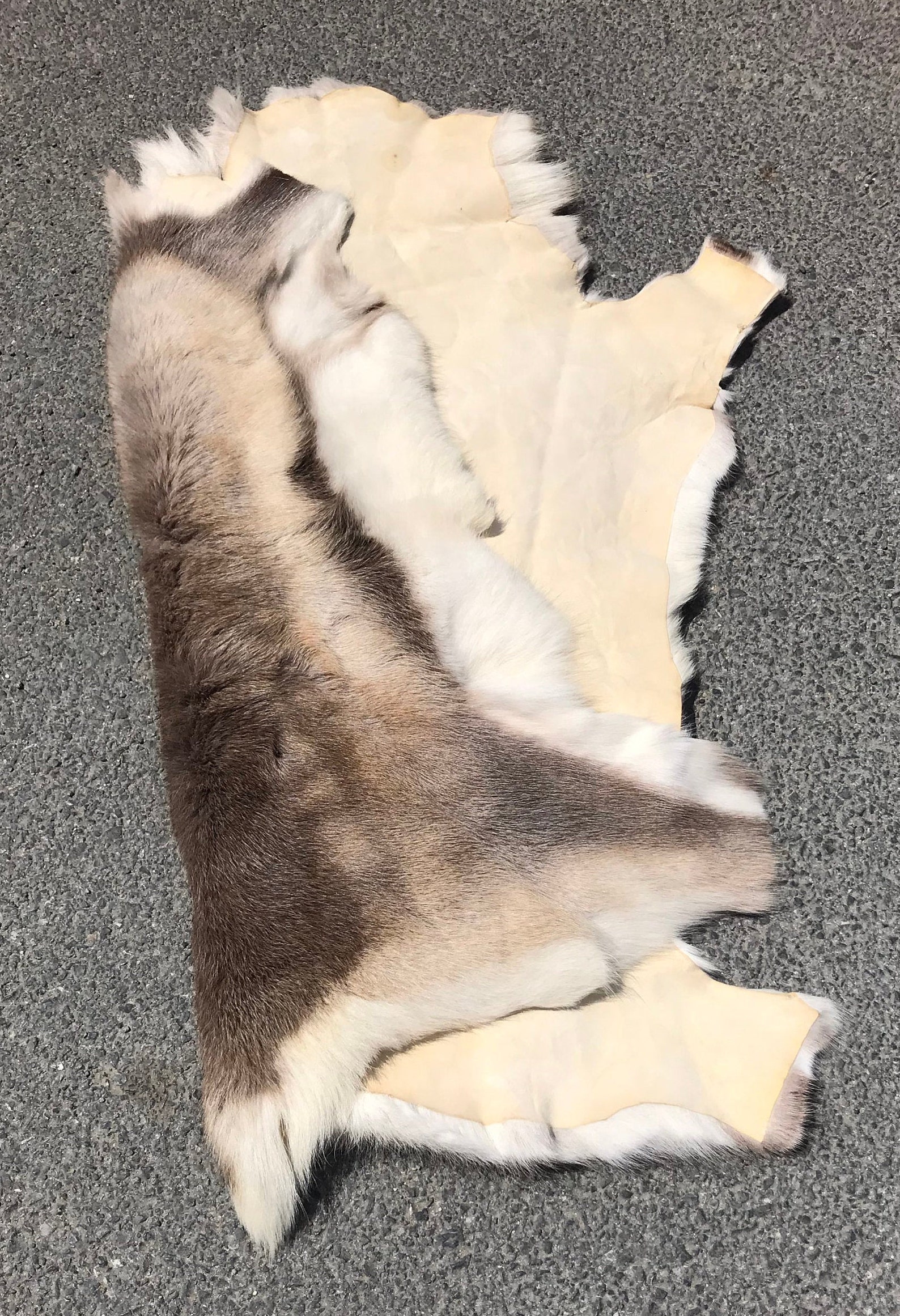 Norwegian Reindeer Fur Throw XXL Natural Reindeer Real Hide Etsy