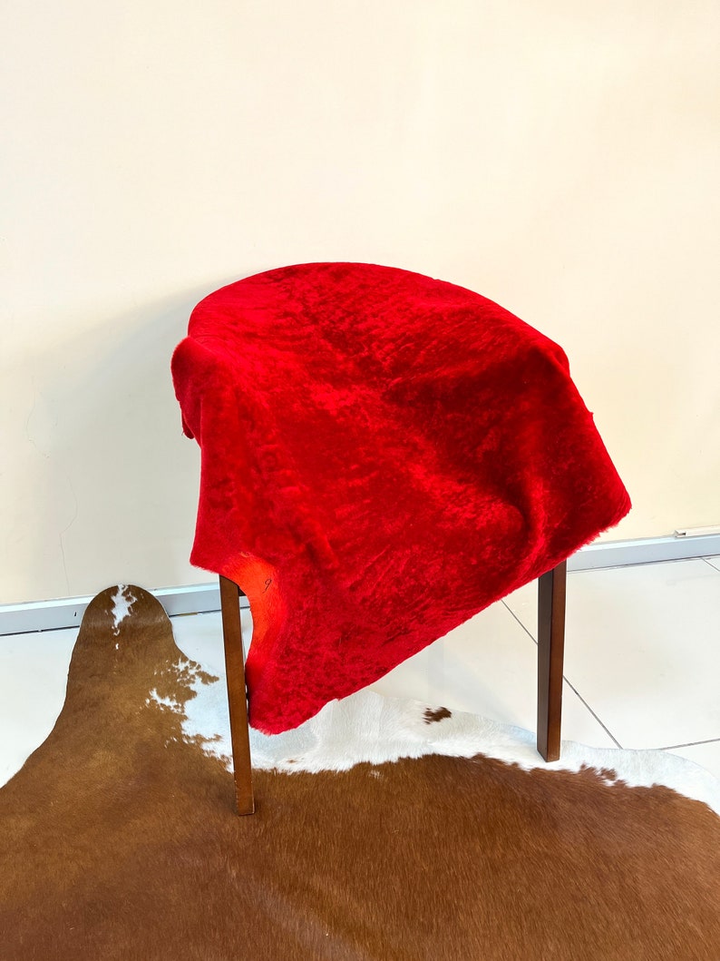 Peut inclure: Un tissu de velours rouge drap&eacute; sur une chaise en bois avec un tapis en peau de vache brun et blanc en dessous.