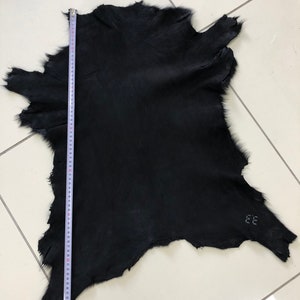 May include: A black fur hide with a measuring tape next to it. The hide is approximately 28 inches long. The hide has a label that says "EE".