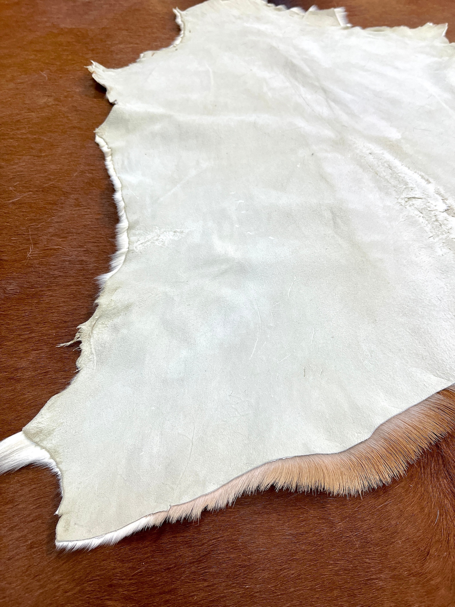 Real Deer Skin Throws Genuine Leather Deer Pelt Deer Fur Etsy