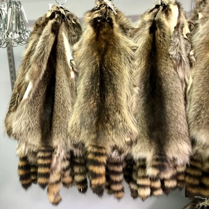 Real Natural Raccoon Fur Pelt , American Raccoon Fur , Natural Color , Natural Tanned , Assorted Raccoon Pelt , Raccoon Collar ,Raccoon Coat