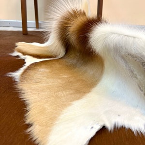 May include: A white and brown cowhide rug with long, soft fur. The rug is folded in half and is lying on a brown surface.
