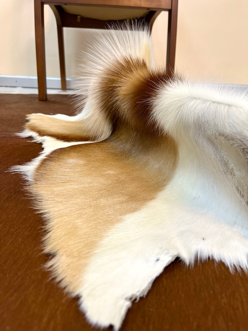 May include: A white and brown cowhide rug with long, soft fur. The rug is folded in half and is lying on a brown surface.
