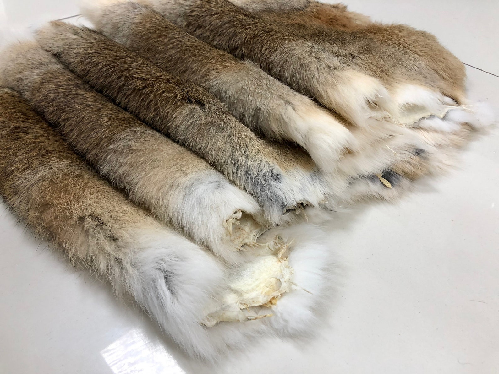 Real Rabbit Fur Pelts Assorted Natural Rabbit Fur Pelt Very Etsy