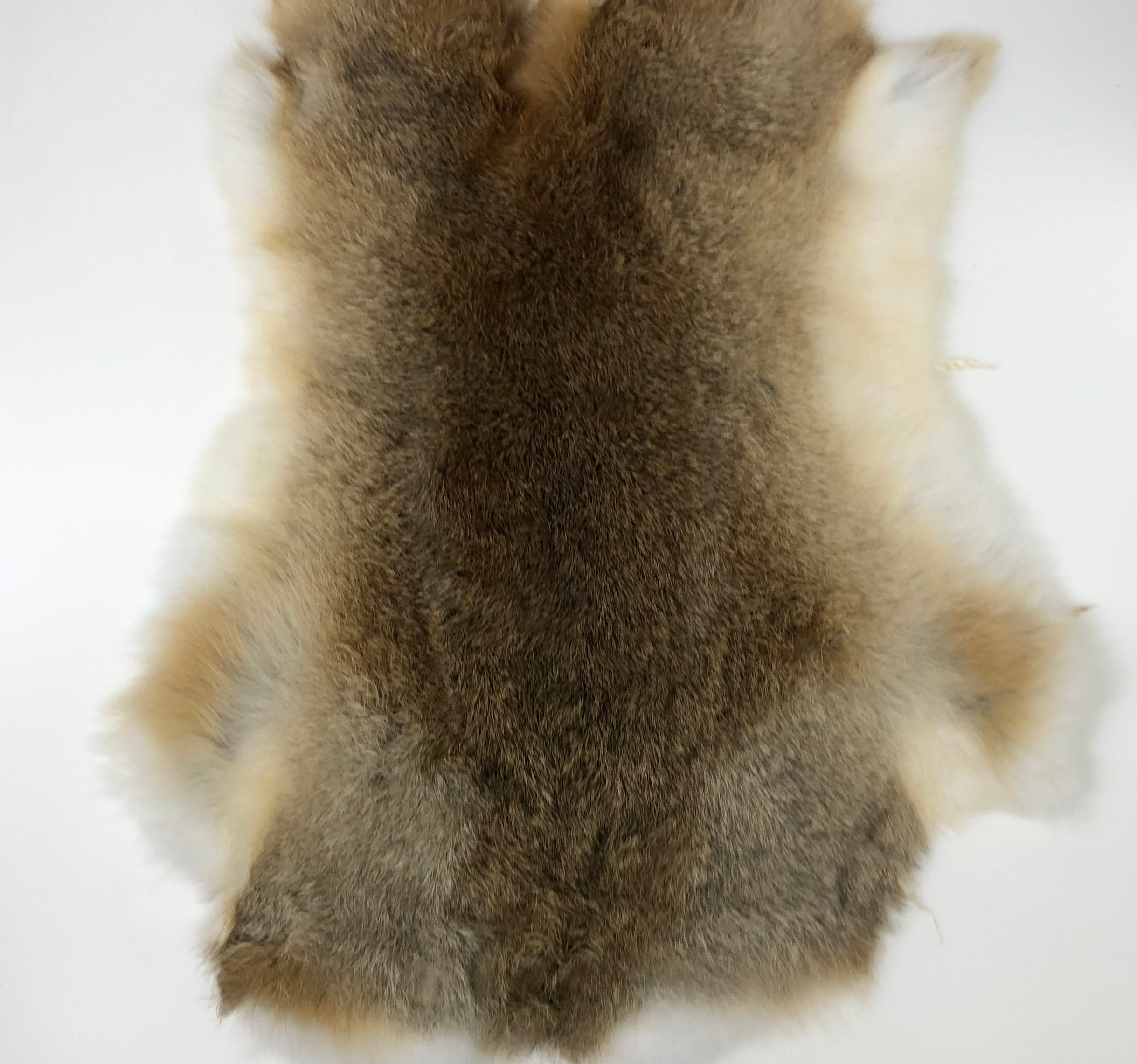 Real Rabbit Fur Pelts Assorted Natural Rabbit Fur Pelt Very Etsy