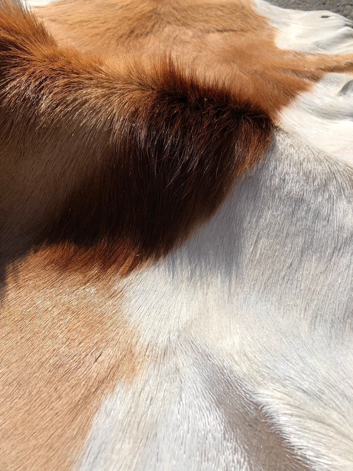 100 Deer Skin Natural Deer Skin Genuine Deerskin Deer Pelt Etsy