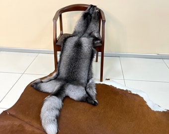 Piel de zorro real, piel de zorro escarchado, piel de zorro real, manualidades de piel de bricolaje, piel de piel escarchada, regalo de piel de lujo '' Nunca has visto un zorro tan grande ''