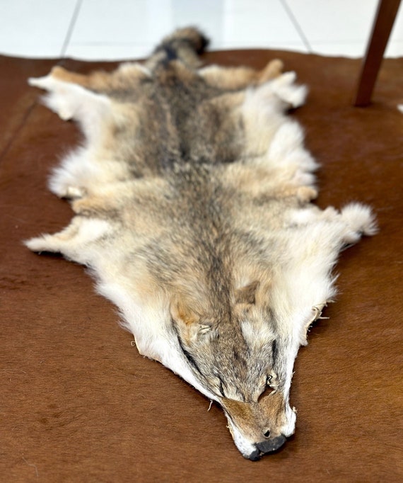 Natural Coyote Pelt, Coyote Fur, Genuine Coyote Pelt, Coyote Skin, Coyote Hide, Coyote Pelt, Natural Fox Pelt, Fox Taxidermy Fox Pelt