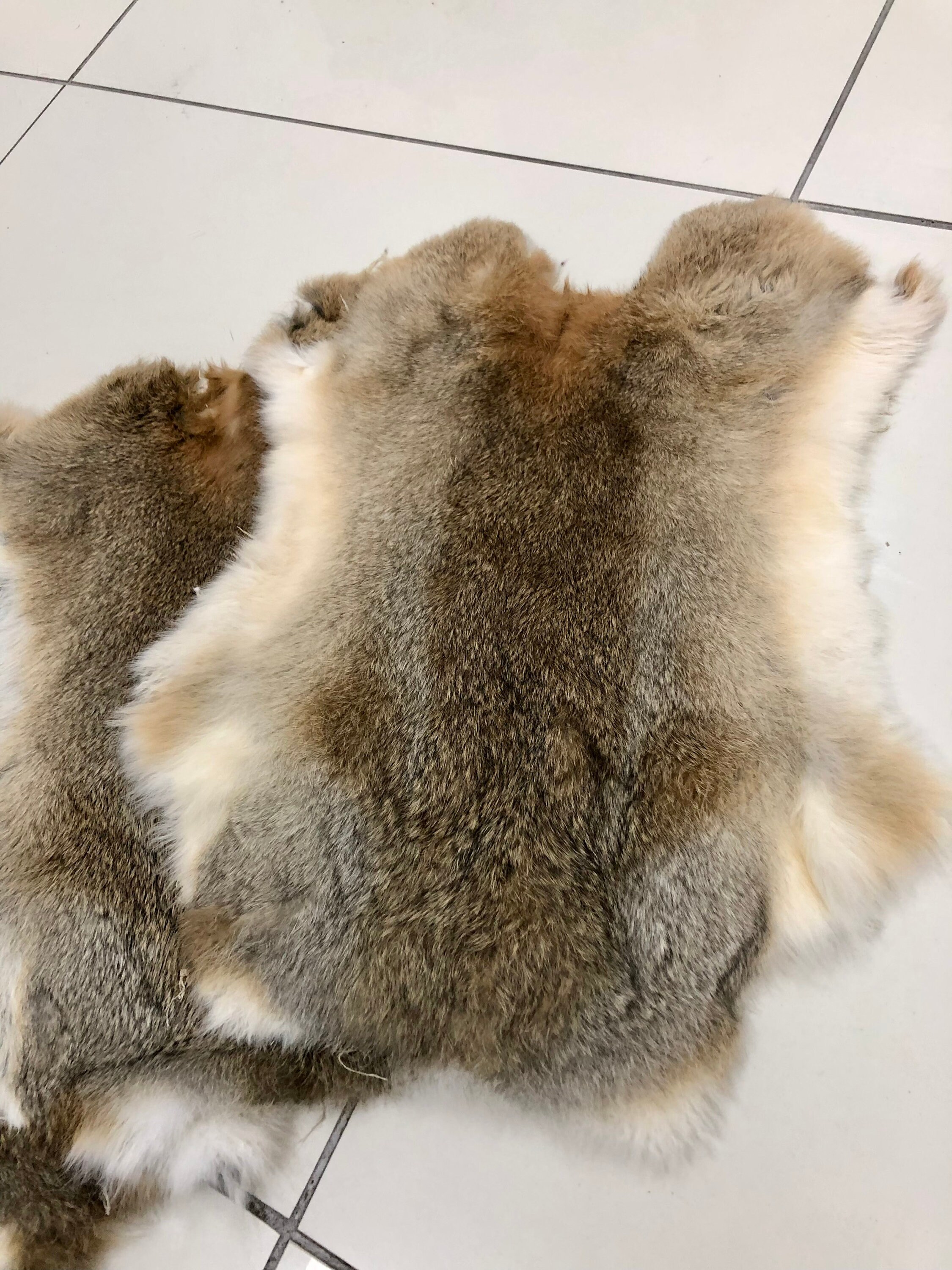 Real Rabbit Fur Pelts Assorted Natural Rabbit Fur Pelt Very Etsy