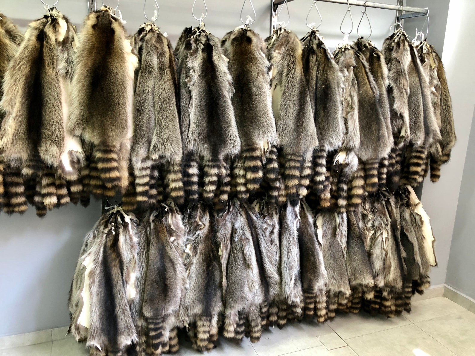 Raccoon Pelt Fur American Raccoon Pelt Fur Tanned Raccoon Etsy