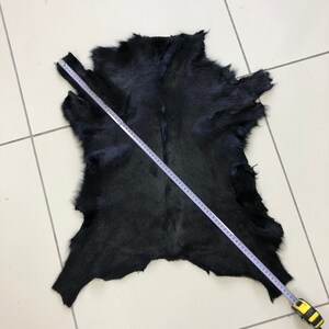 May include: A black goat hide with a measuring tape laid across it. The hide is approximately 60 inches long.