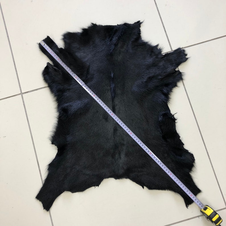May include: A black goat hide with a measuring tape laid across it. The hide is approximately 60 inches long.