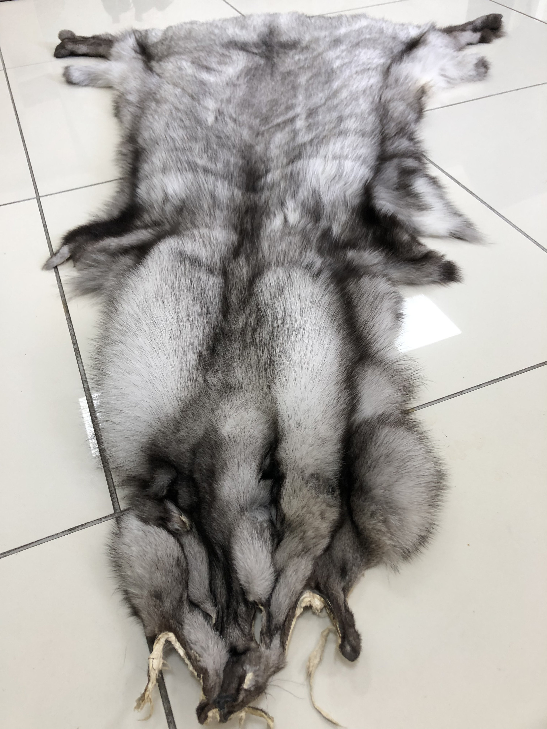 ブルーフォックス 原皮　ホワイト系 bfp001-1.jpg