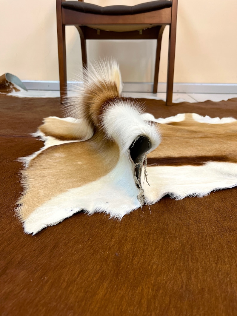 May include: A brown and white cowhide rug with a long, white, fluffy tail. The rug is folded in half and the tail is sticking up.