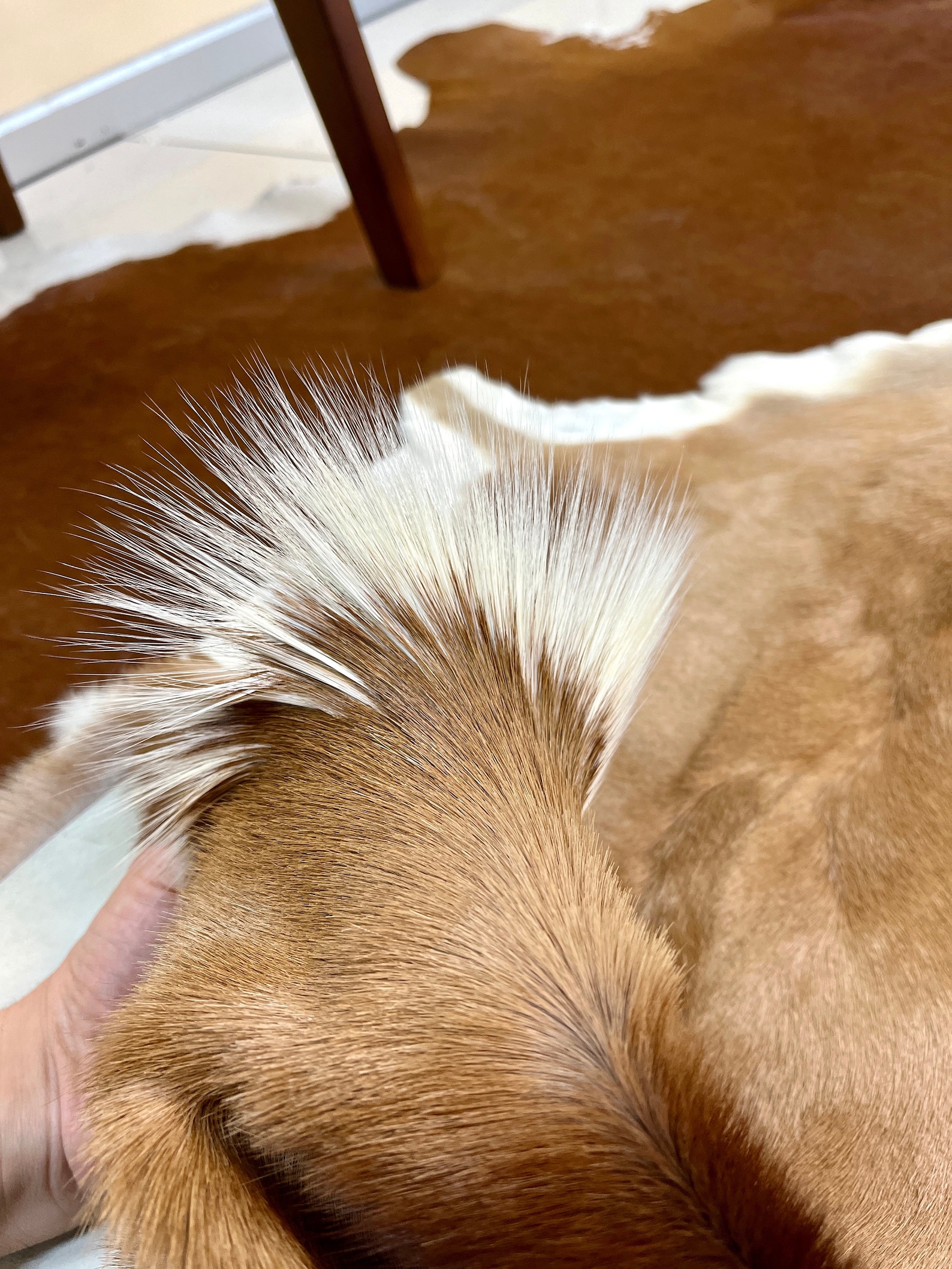 Real Deer Skin Throws Genuine Leather Deer Pelt Deer Fur Etsy