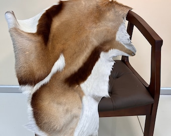 Springbok Skin Natural springbok skin XXL Size Tanned springbok hide Genuine springbok hide springbok pelt Springbok fur springbok leather