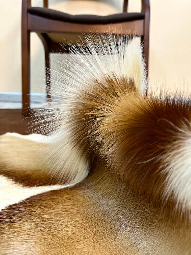 May include: Close-up of a brown and white cowhide rug with long, soft fur. The fur is arranged in a wave-like pattern, creating a textured and luxurious look.