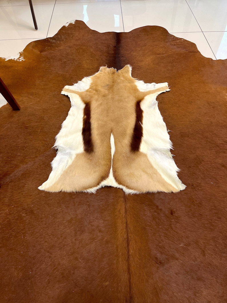 May include: A brown and white animal hide rug with a tan and brown fur pattern. The rug is laid out on a brown cowhide rug.