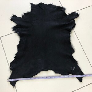 May include: A black fur pelt with a measurement tape showing it is approximately 30 inches wide.