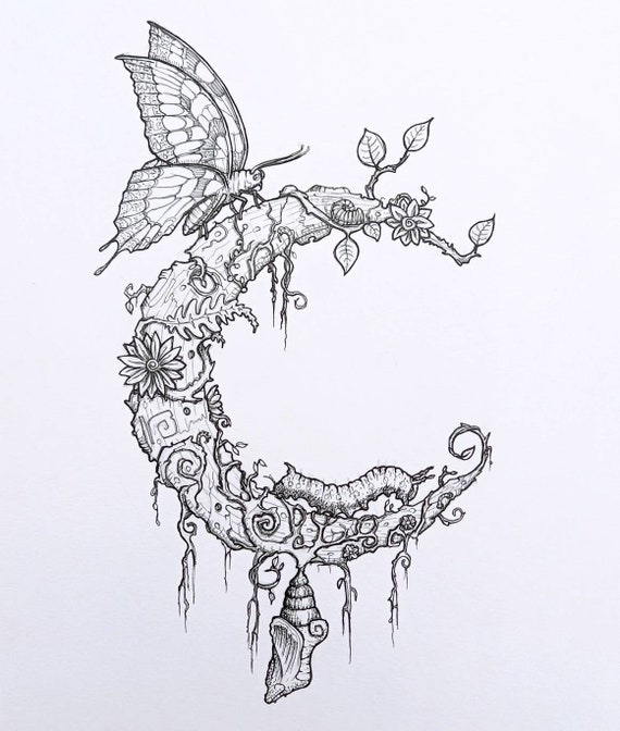 Metamorphosis drawings deals