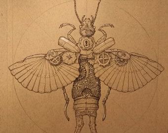 Steampunk Earwig | A4 Print, Clockwork insect art, bugs design, creepy crawlies, steampunk art prints, fantasy art prints, ink illustration