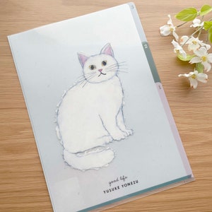 A4 Clear File Folder Japan - Etsy